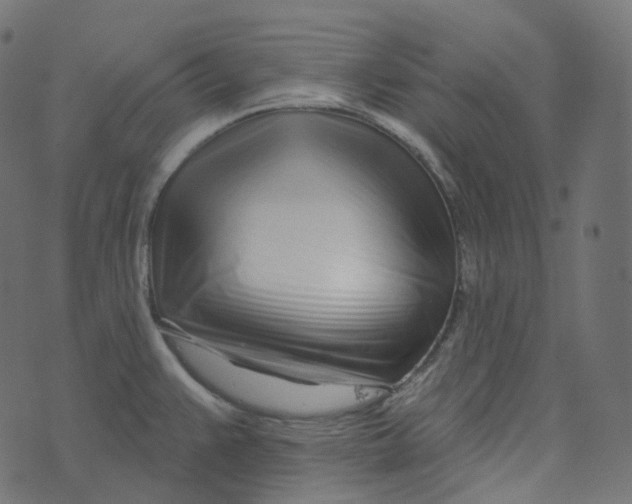 X0000073421383200608251539