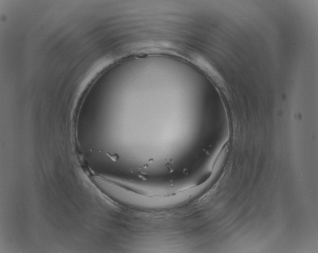 X0000073421384200608251539