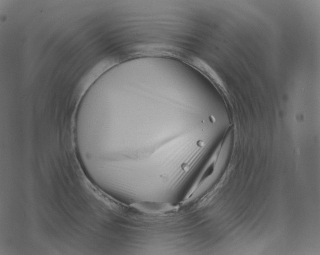 X0000073421386200608251539