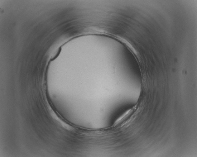 X0000073421387200608251539