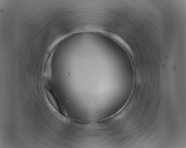 X0000073421388200608251539