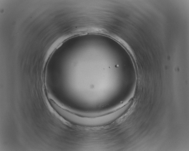 X0000073421389200608251539