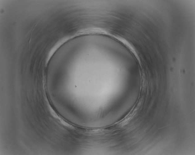 X0000073421390200608251539