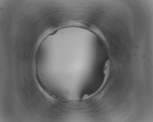 X0000073421391200608251539