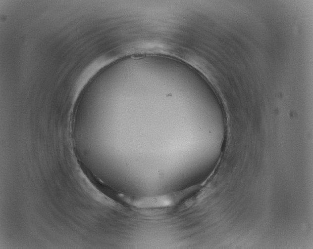 X0000073421392200608251539