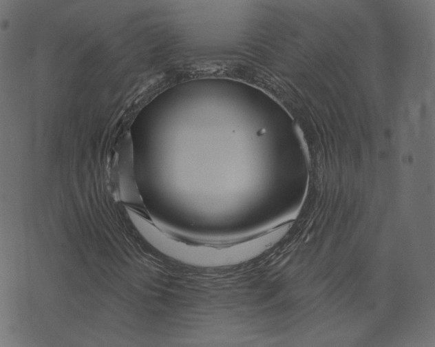 X0000073421394200608251538