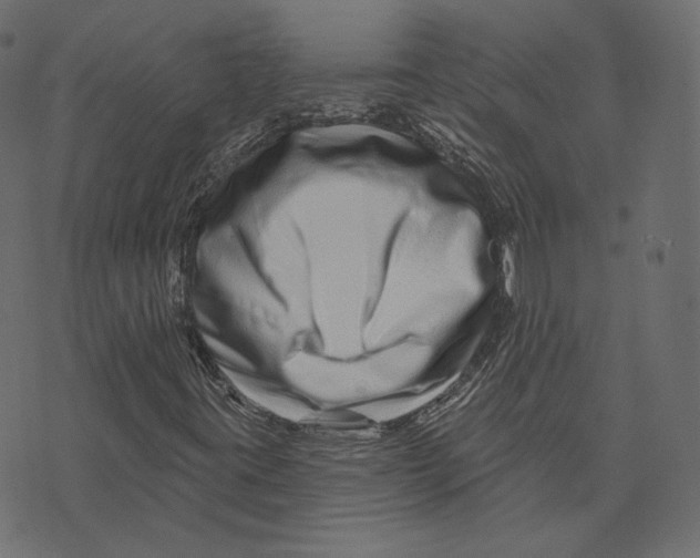 X0000073421395200608251538