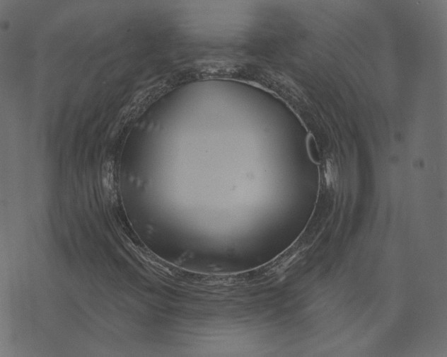 X0000073421396200608251538