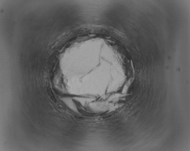 X0000073421397200608251538