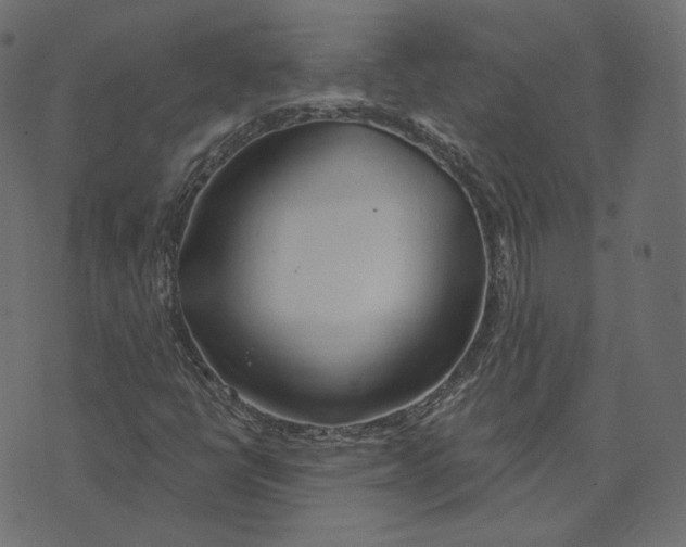 X0000073421398200608251538