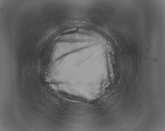 X0000073421399200608251538