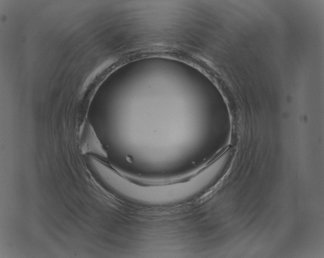 X0000073421402200608251538