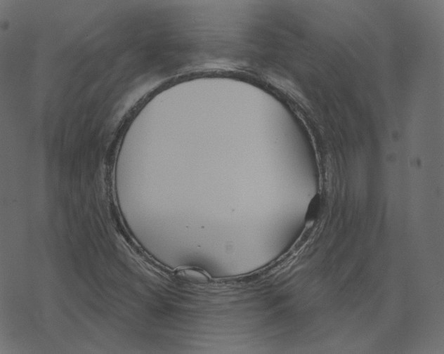 X0000073421404200608251538