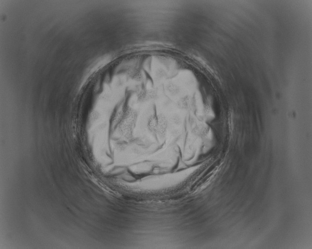 X0000073421405200608251538