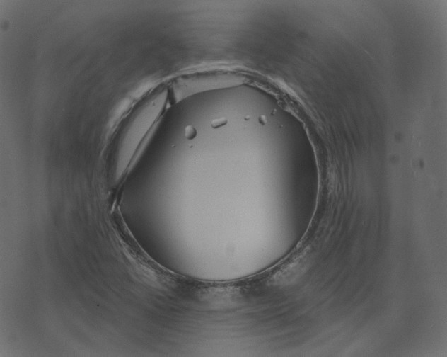 X0000073421406200608251538