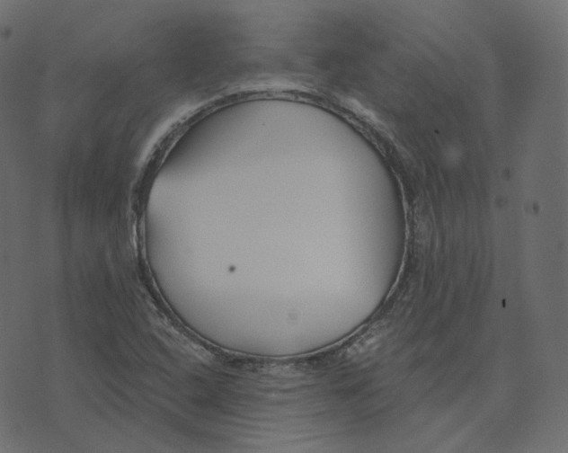 X0000073421408200608251538