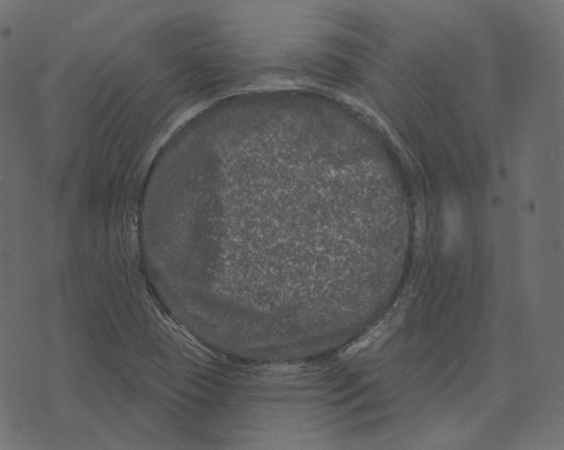 X0000073421409200608251538