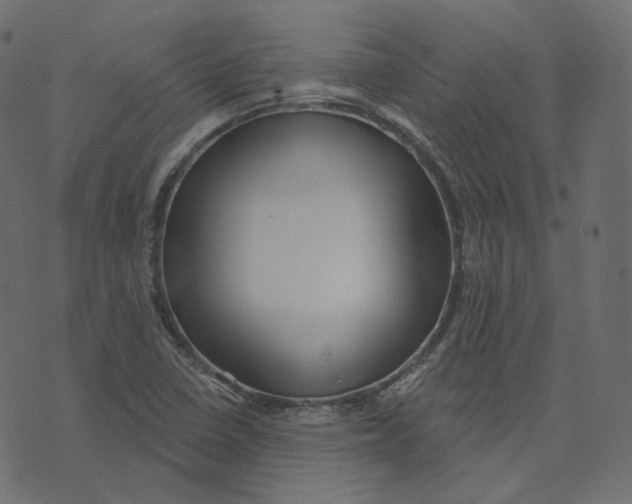 X0000073421410200608251538