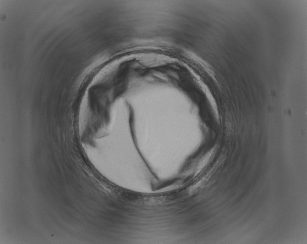 X0000073421411200608251538