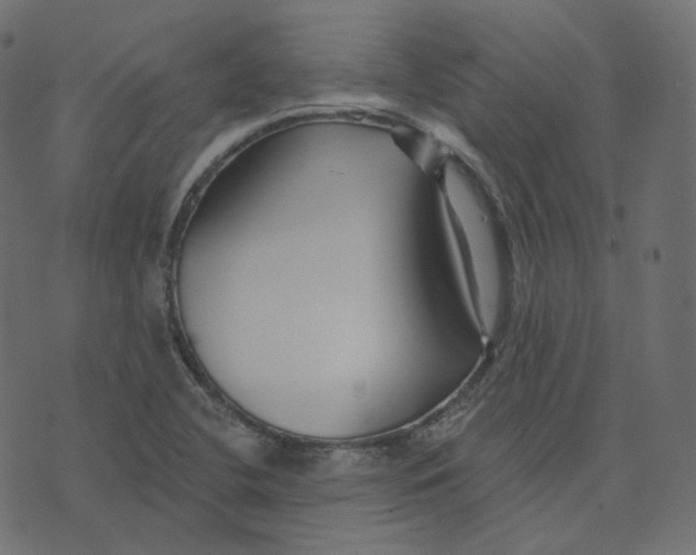 X0000073421412200608251538