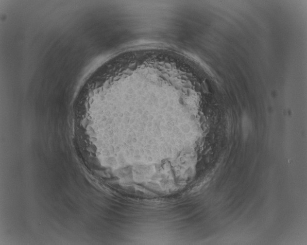 X0000073421413200608251538