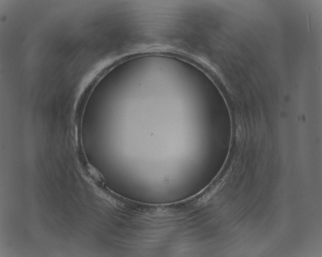 X0000073421414200608251538