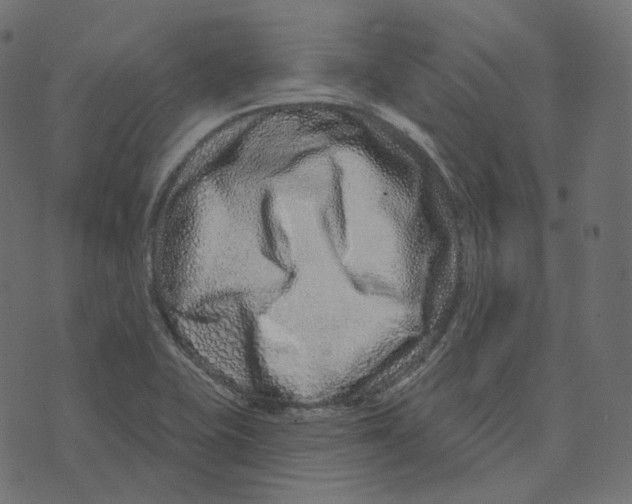 X0000073421415200608251538