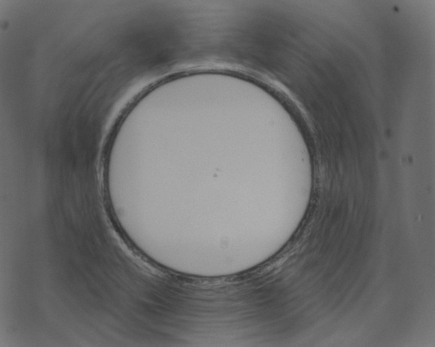 X0000073421416200608251538