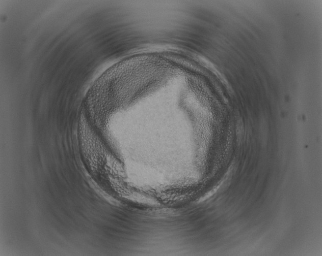 X0000073421417200608251538