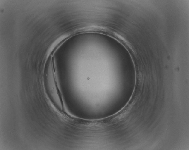 X0000073421418200608251538