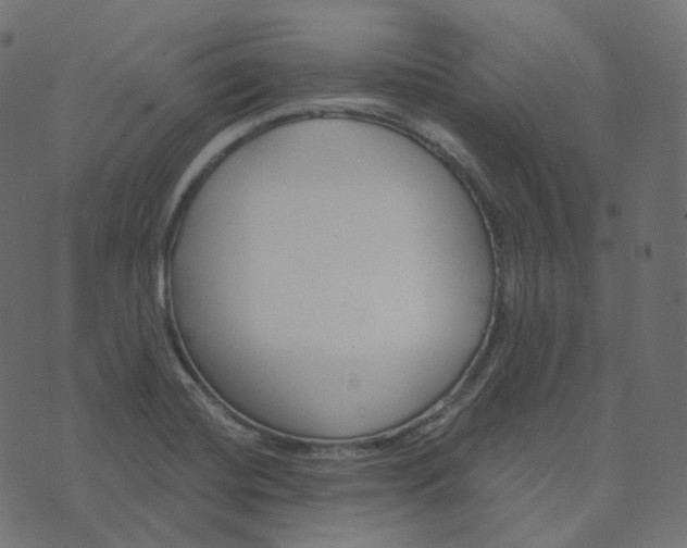 X0000073421420200608251539