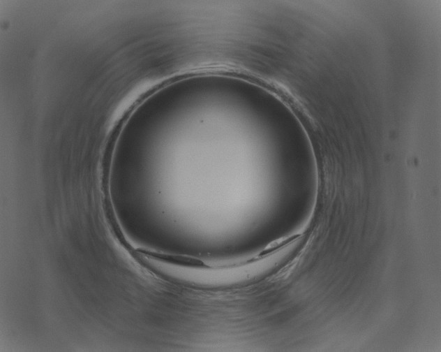 X0000073421422200608251539