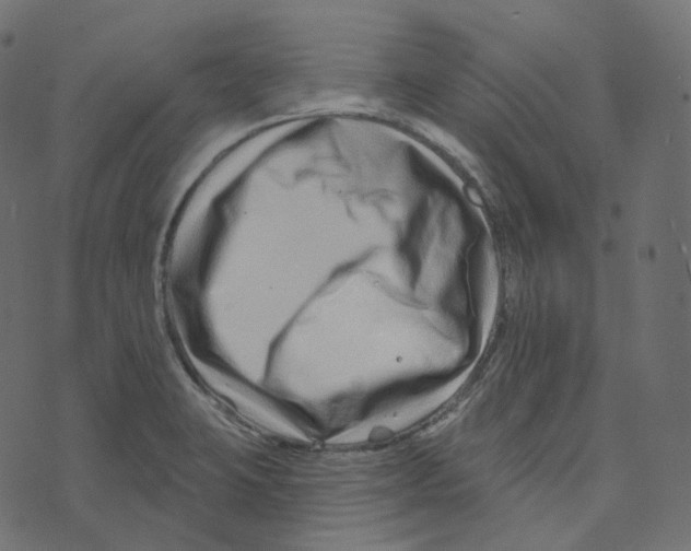 X0000073421423200608251539