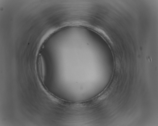 X0000073421424200608251539