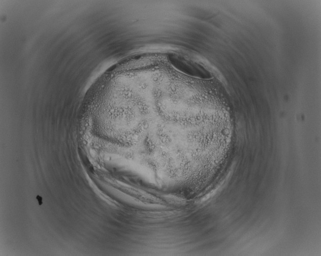 X0000073421425200608251539