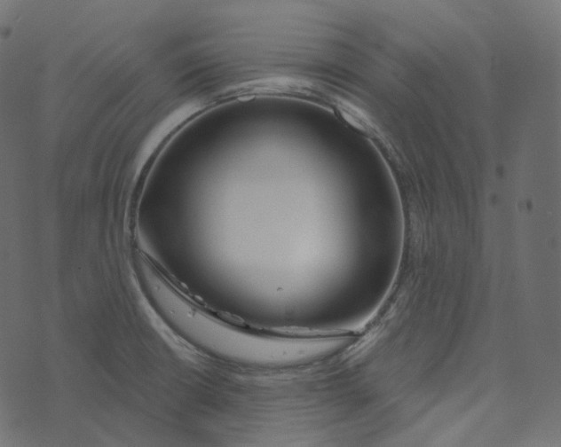 X0000073421426200608251539