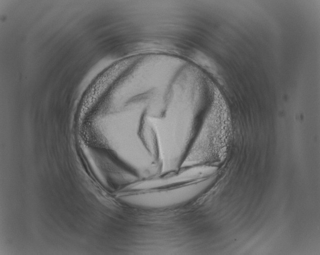 X0000073421427200608251539