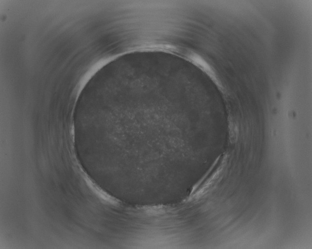 X0000073421428200608251539