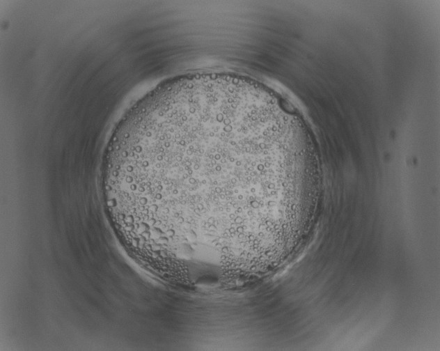 X0000073421429200608251539