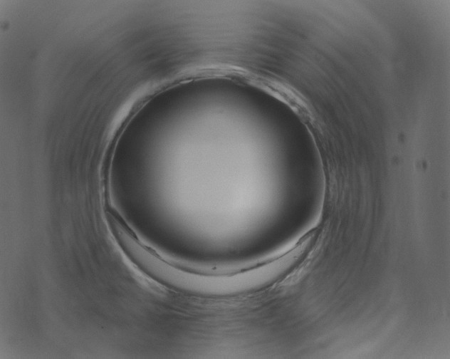 X0000073421430200608251539