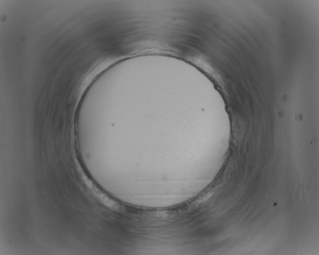 X0000073421431200608251539