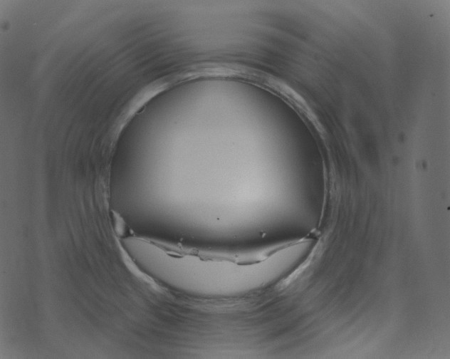 X0000073421433200608251539