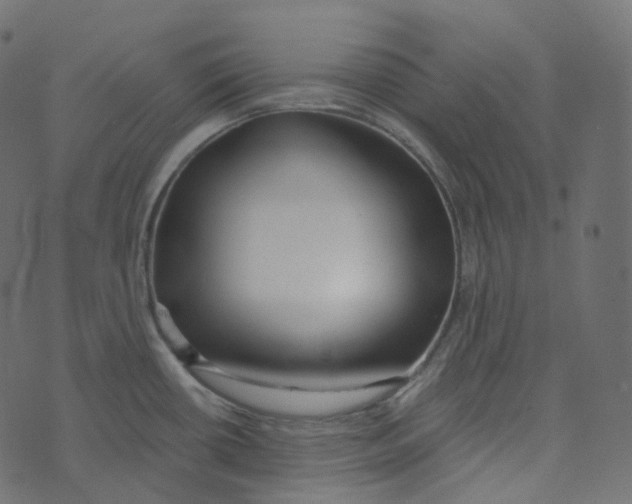 X0000073421434200608251539