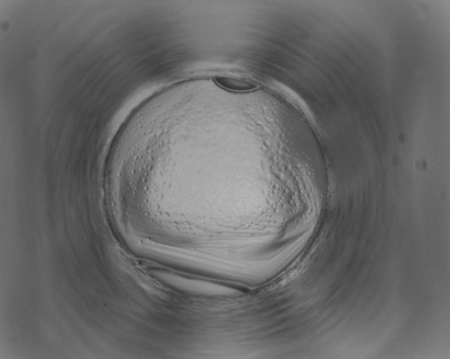 X0000073421435200608251539