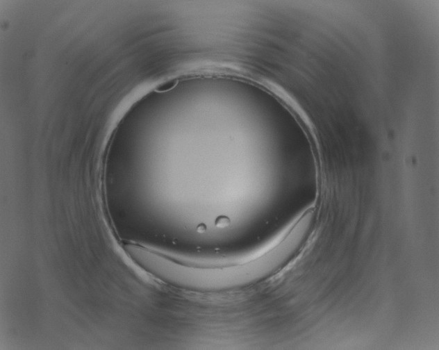 X0000073421437200608251539