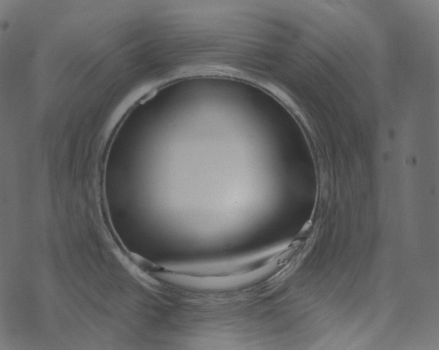 X0000073421438200608251539