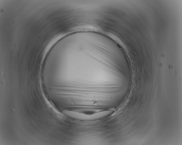 X0000073421440200608251539