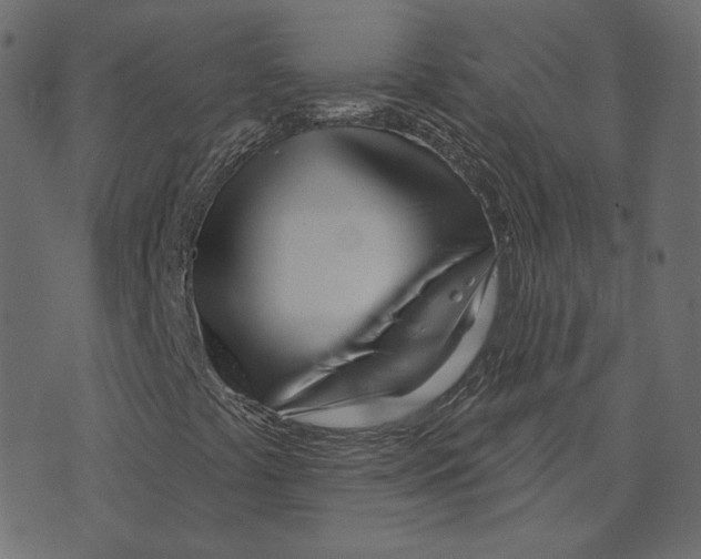 X0000073421441200608251538