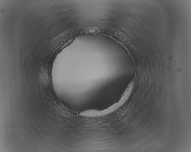 X0000073421442200608251538