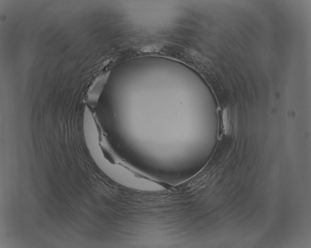 X0000073421443200608251538